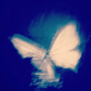 Meet your Posher, Huiwen